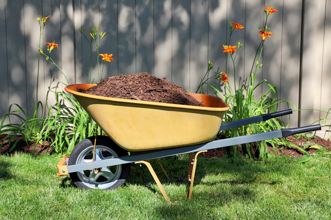 Mulch Different Types, Benefits, and How to Apply Devine Bros